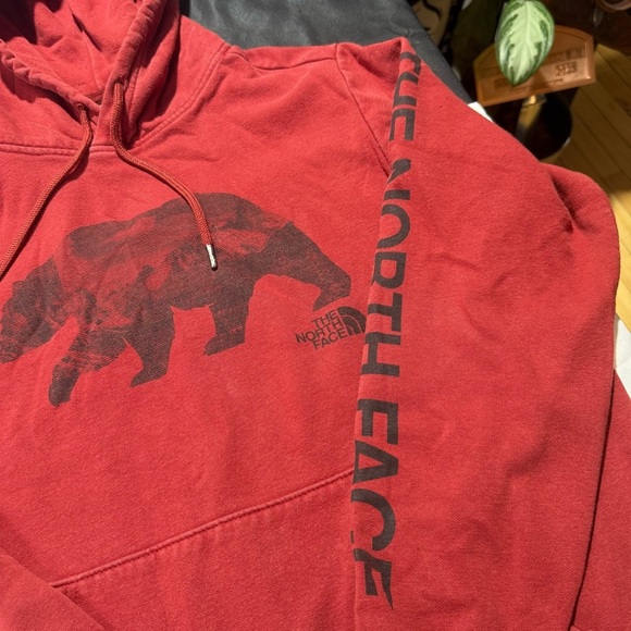 The North Face Brick Red Bear Hoodie - Picture 10 of 11